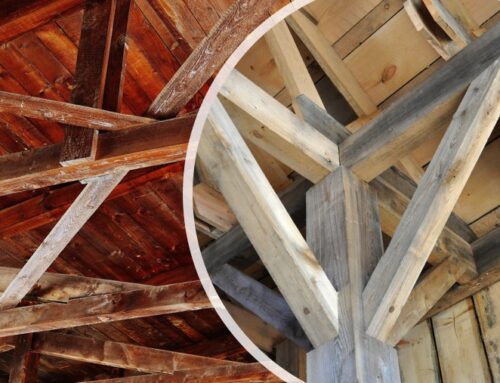 Difesa e preservazione del legno – Quello che c’è da sapere